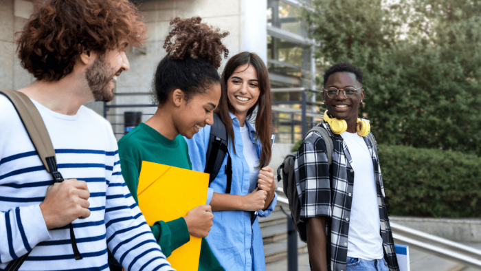 The Debate on Compulsory Further Education